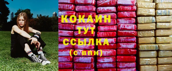 прущие грибы Алексеевка