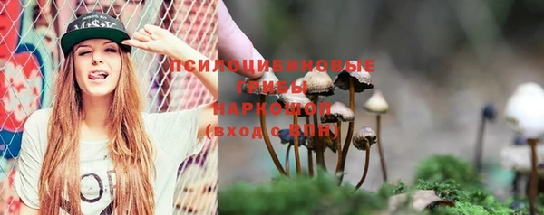 mix Аркадак