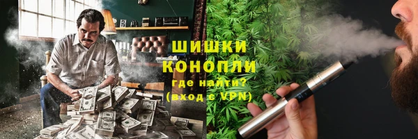 прущие грибы Алексеевка