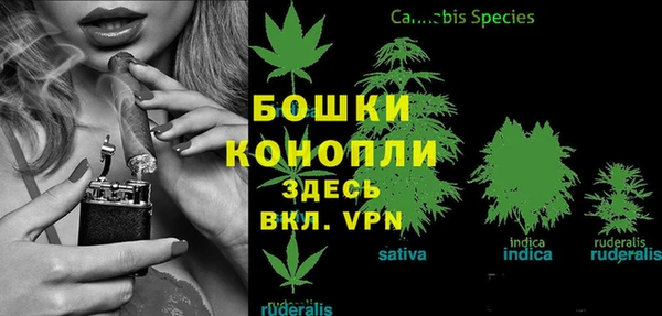 СК Арсеньев