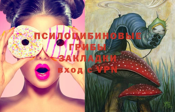 прущие грибы Алексеевка