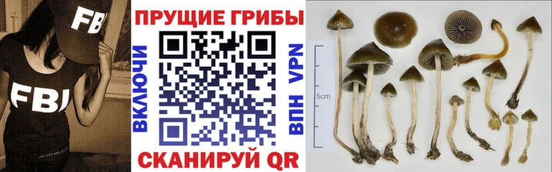 Псилоцибиновые грибы Cubensis Новый Уренгой