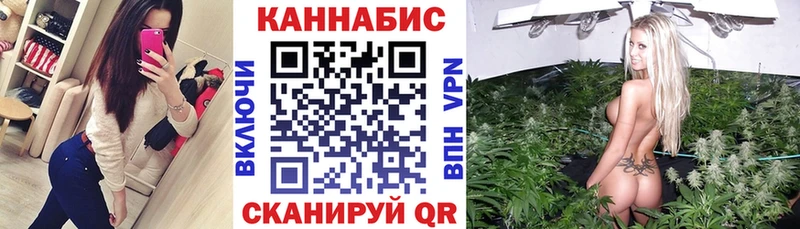 где можно купить Новый Уренгой Шишки марихуана ГИДРОПОН